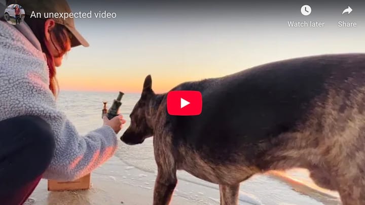 Quitting a bad habit