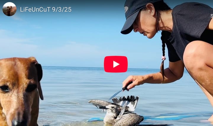 LiFe UnCut 9/7/2025
